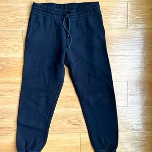❄️Aritzia Cozy Fleece Perfect Sweatpant